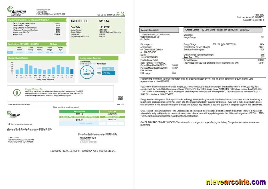 USA Ameren Missouri electricity utility bill 2 pages